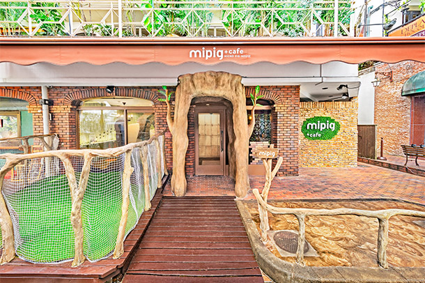 mipig.xyz 原宿店