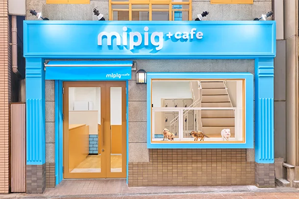mipig.xyz 神戸三宮店 Access