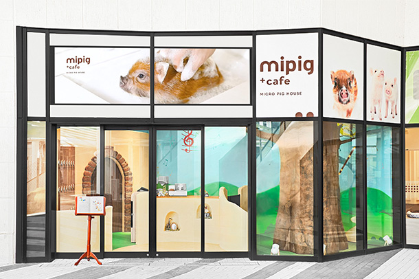 mipig.xyz AEON Lake Town