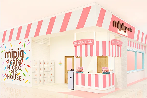 mipig.xyz MICRO PIG HOUSE