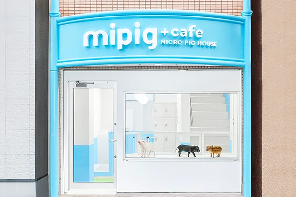 mipig.xyz 横浜中華街店 Access
