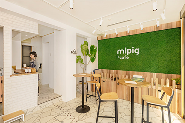 mipig.xyz MICRO PIG HOUSE