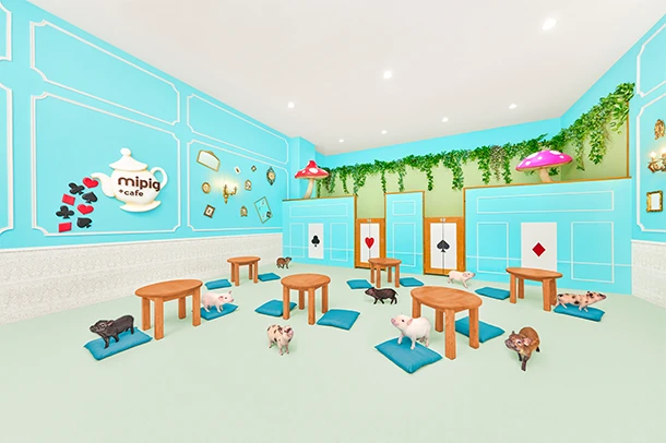 mipig.xyz イオンモール福岡店