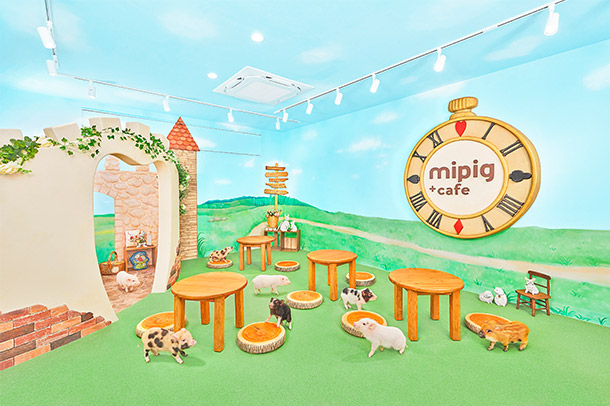mipig.xyz 福岡天神店