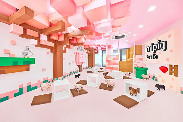 mipig.xyz 原宿竹下通り店