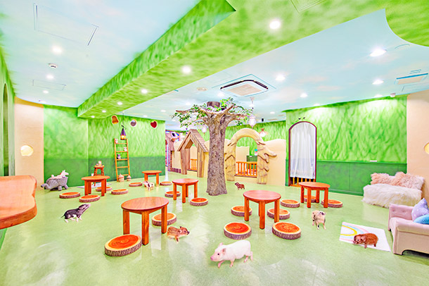mipig.xyz 原宿店