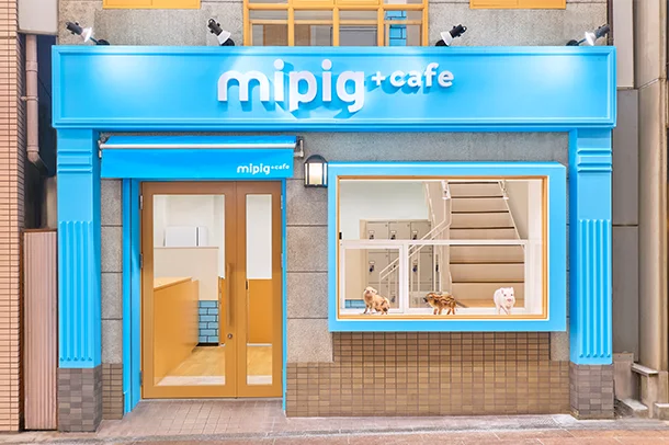 mipig.xyz 神戸三宮店