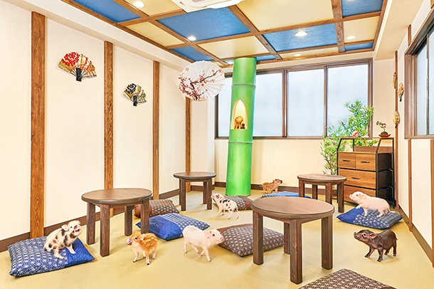 mipig.xyz 京都店