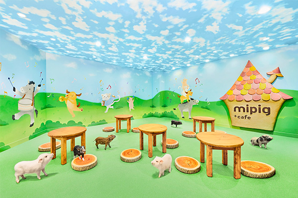 mipig.xyz イオンレイクタウン店