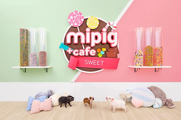mipig.xyz モラージュ菖蒲店