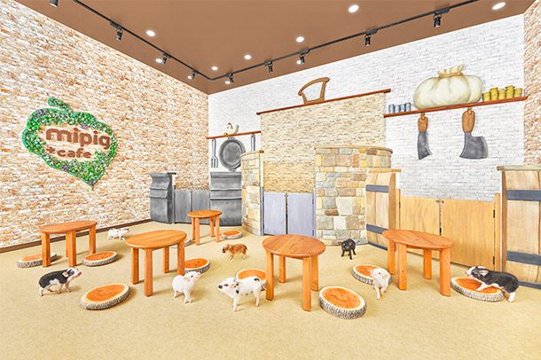 mipig.xyz モゾ名古屋店