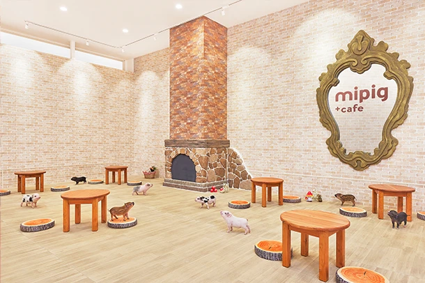 mipig.xyz イオンモール札幌発寒店