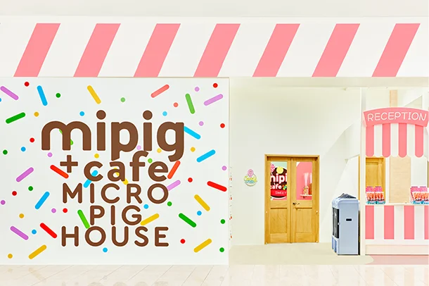 mipig.xyz MICRO PIG HOUSE