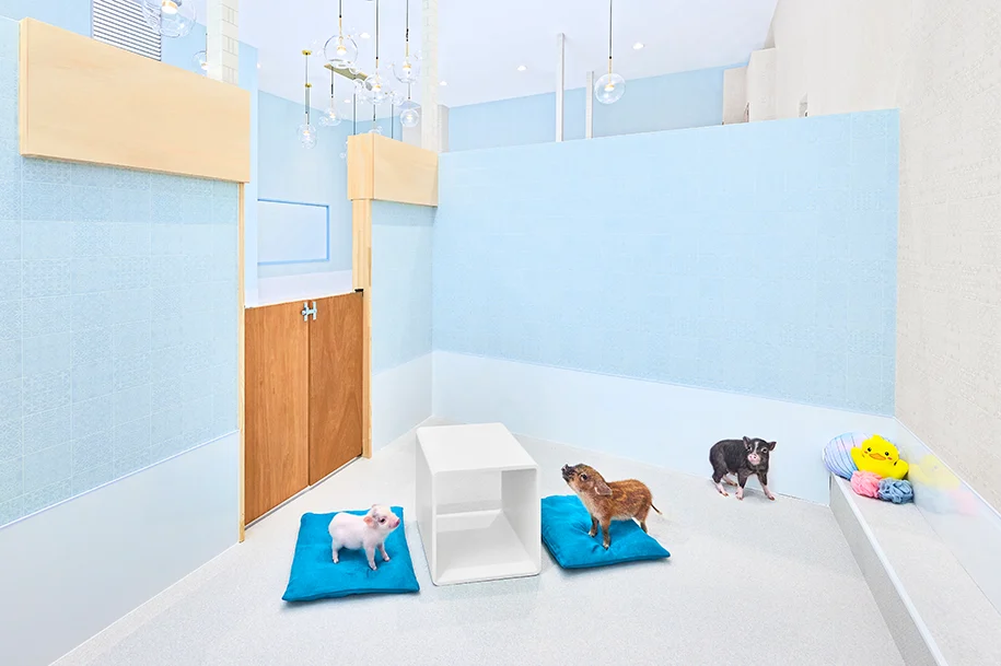 mipig.xyz MICRO PIG HOUSE
