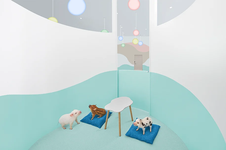 mipig.xyz MICRO PIG HOUSE