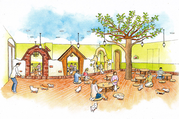 11/8(金)オープン mipigcafe原宿店のご予約を開始いたしました。