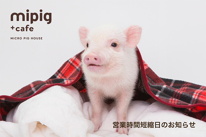 営業時間短縮日のお知らせ