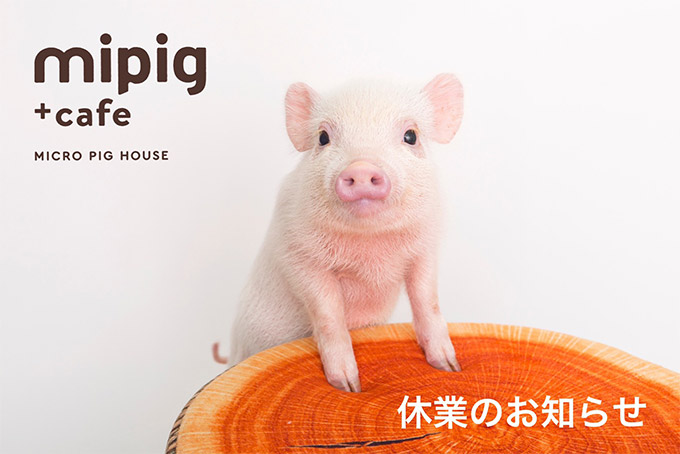 休業のお知らせ