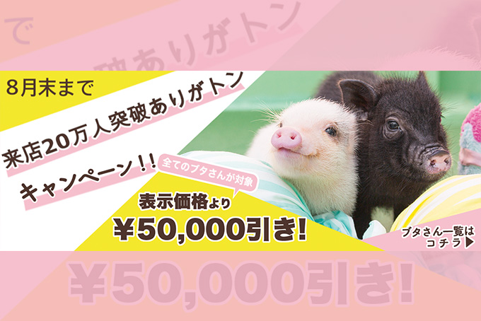 来店20万人突破ありがトン キャンペーン 実施中