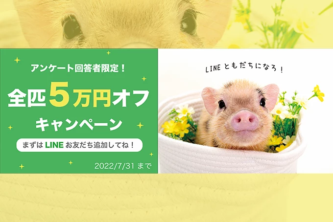 日本テレビ2022年4月期水曜ドラマ『悪女（わる）〜働くのがカッコ悪いなんて誰が言った？〜』ロケ地となりました