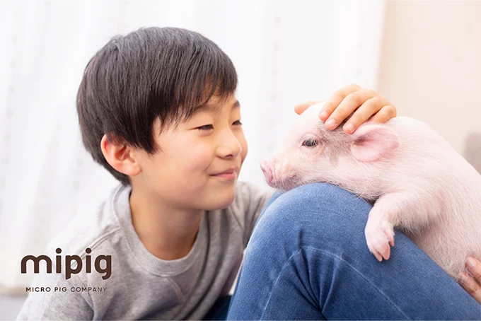 ふれあいmipig（福岡市内）開催のお知らせ