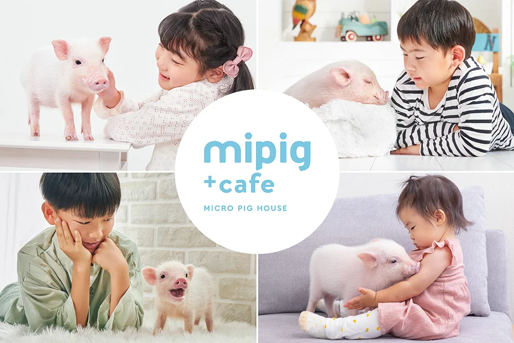 【mipig.xyz 神戸三宮店】オープン予定のお知らせ
