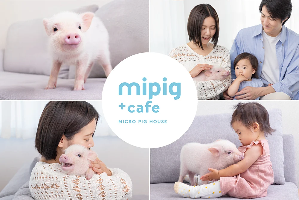 【mipig.xyz イオンモール高岡店】4/24オープン、ご予約を開始いたしました。