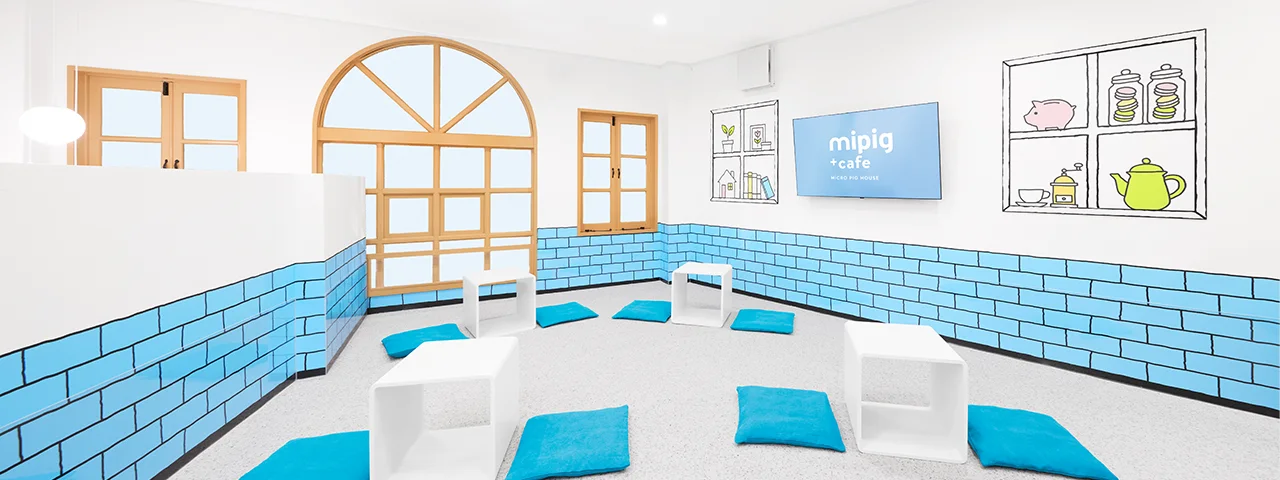 mipig.xyz 神戸三宮店
