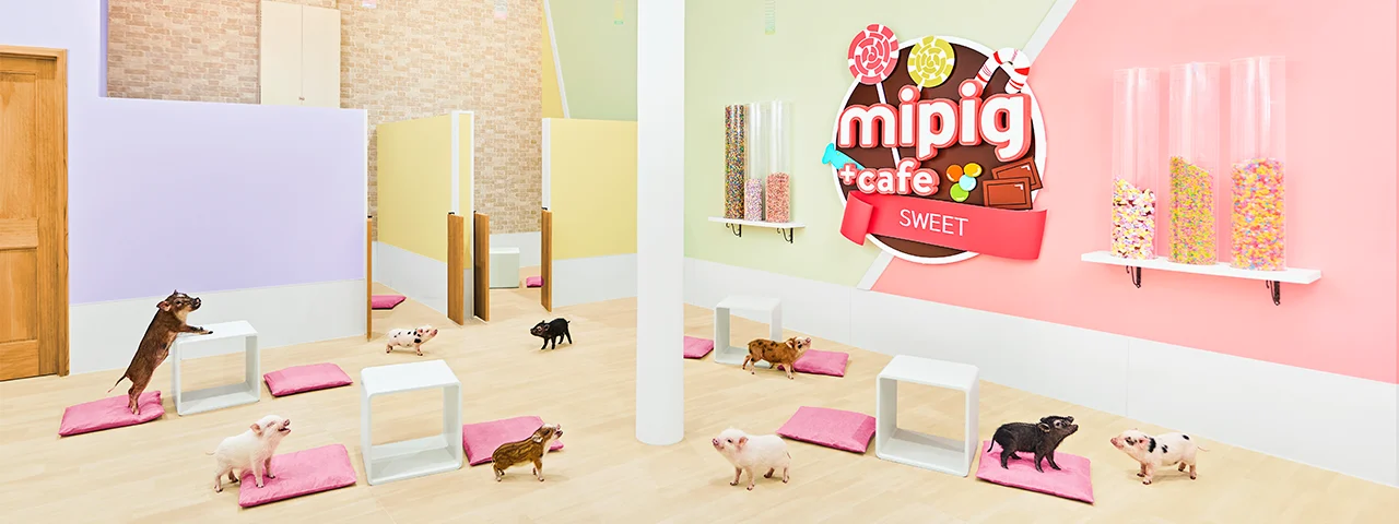 モラージュ菖蒲店