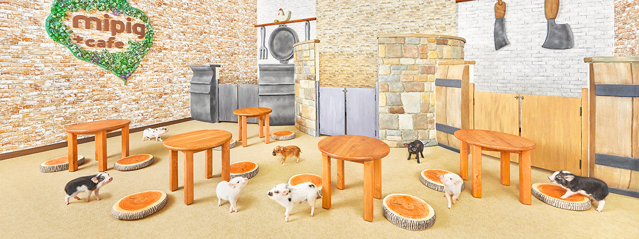 mipig.xyz mozo名古屋店